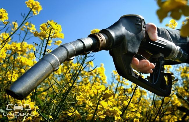 Government to take measures on usage of Bio-fuels