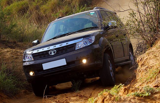 5 Things That Could Improve The Safari Storme's Sales