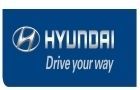 Hyundai register 1% domestic growth