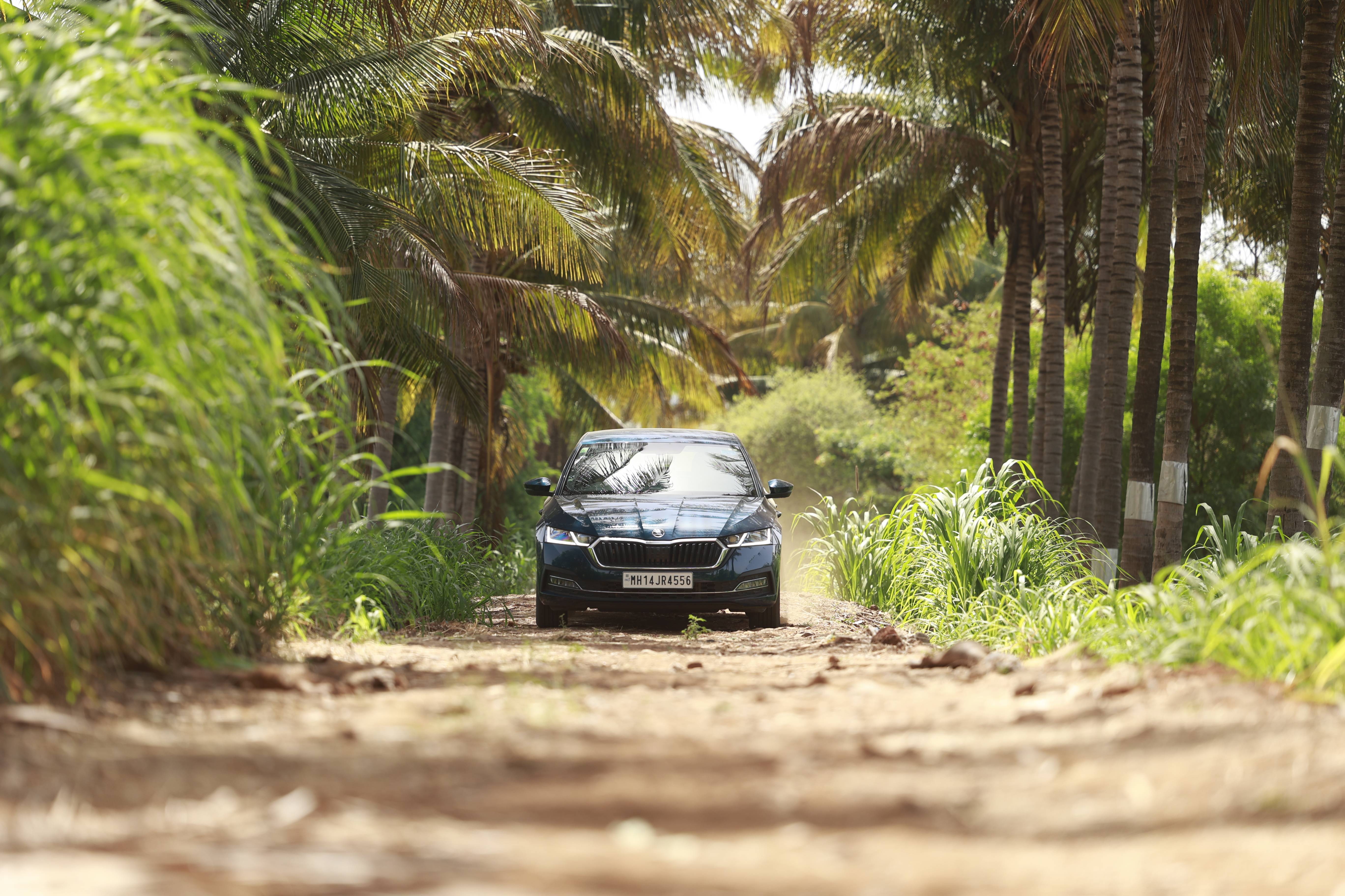 Skoda Octavia: 5000km Long Term Review: Getting dirty!