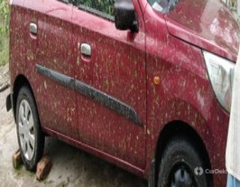 2019 Maruti Alto K10 VXI AMT 2019 Maruti Alto K10 VXI AMT