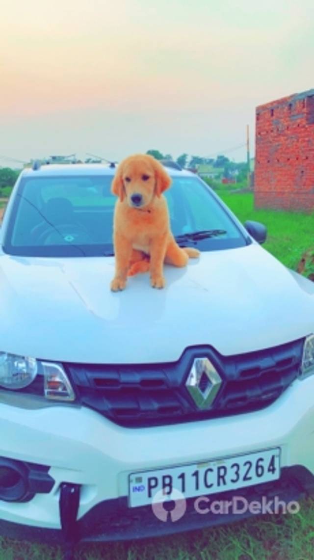 https://stimg2.cardekho.com/images/usedcarimages/large/12-2022/3536365/79782C47-DD35-4623-BAE0-A08D158BB8E1.jpg?imwidth=6400