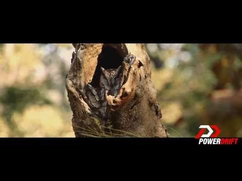 PowerDrift Specials: Mahindra Adventure: Wild Escape